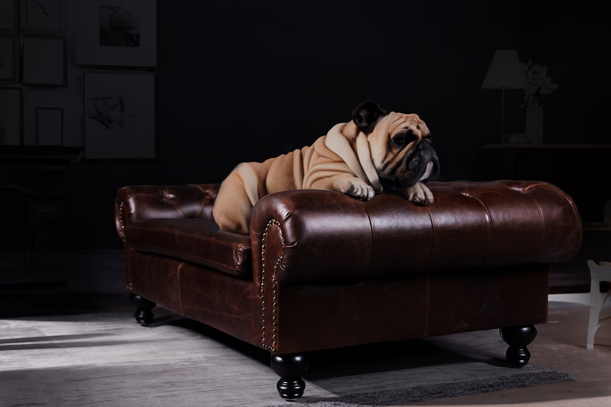 LIT POUR CHIEN BUSTER